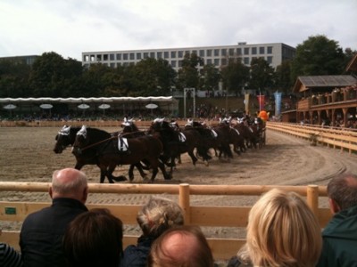 10er-Gespannfahren