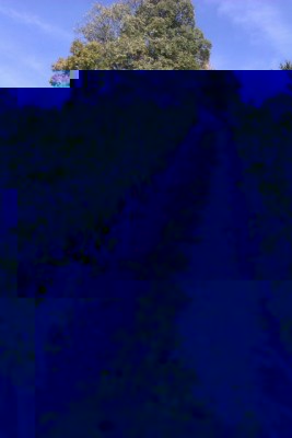 IMAG0072.jpg